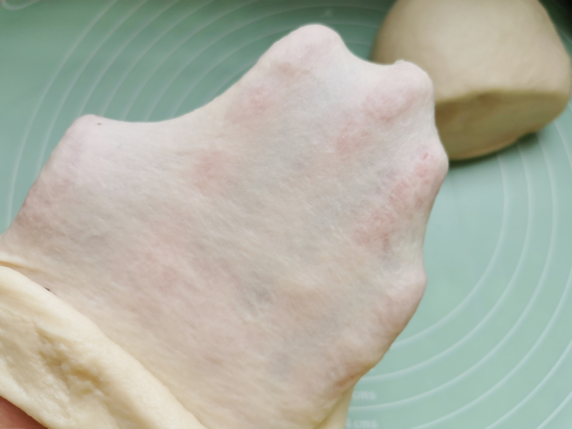 家裡有牛奶的，試試這道牛乳小麵包，做法簡單，一次發酵就能成功