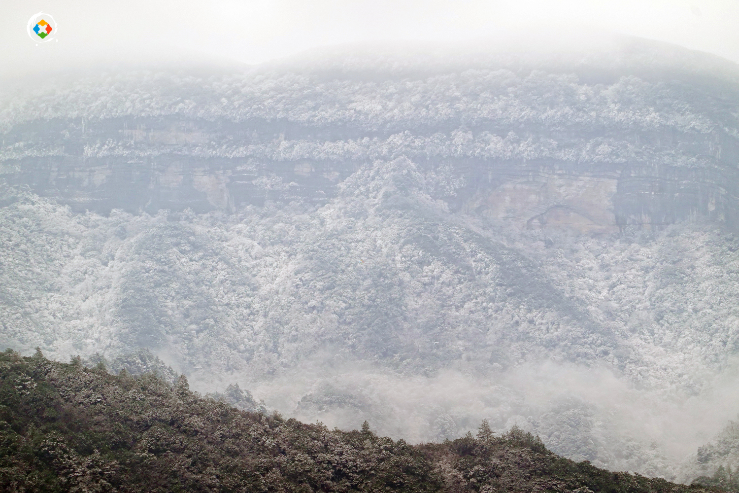 重庆金佛山冬日游：这个国家级5A景区，是不是真的徒有虚名？