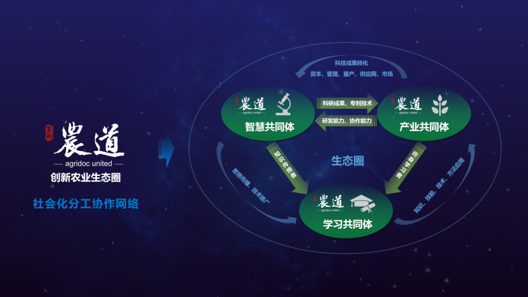 紫荆创新农业研究院副院长赵欧仁在博鳌农业论坛上的发言