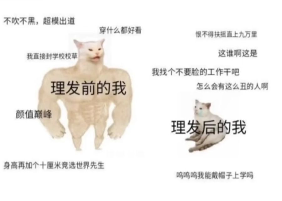 人間真實系列 活躍的小狐狸 Mdeditor
