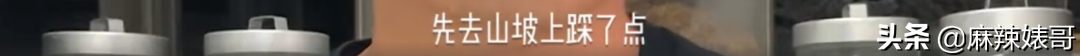 《极限挑战》做错事后装怂又甩锅，这算是又蠢又坏了吧？