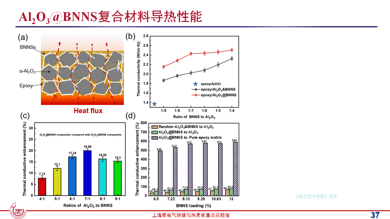 上海交通大学黄兴溢教授：导热绝缘复合电介质中的界面设计与实证