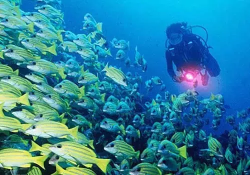 另一个角度看海南！重磅经济政策下的海南，那