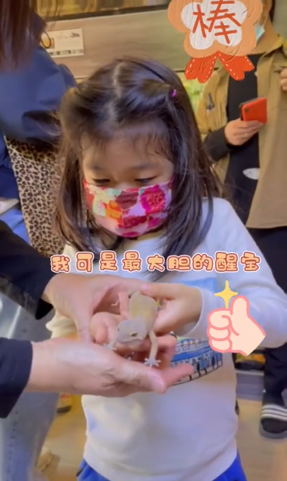 服！ 章子怡5歲女兒接觸冷血動物，醒醒徒手抓蛇摸蜥蜴超淡定