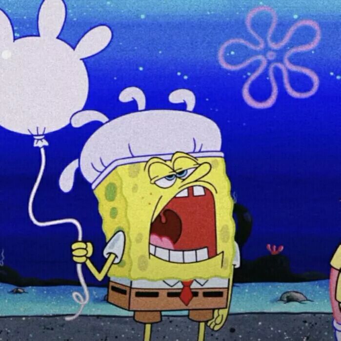 Big star of sponge darling and clique