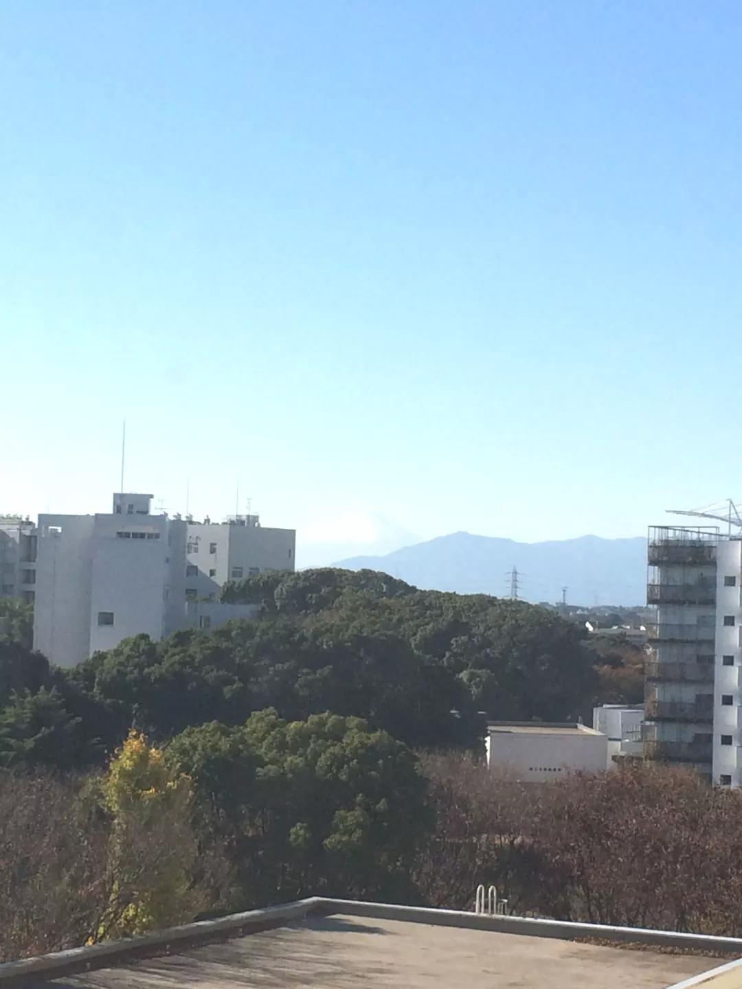 横滨国立大学：我们在山上认真地搞学术