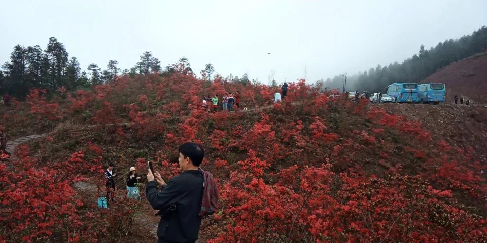 旅游业为何沦为灰色产业？