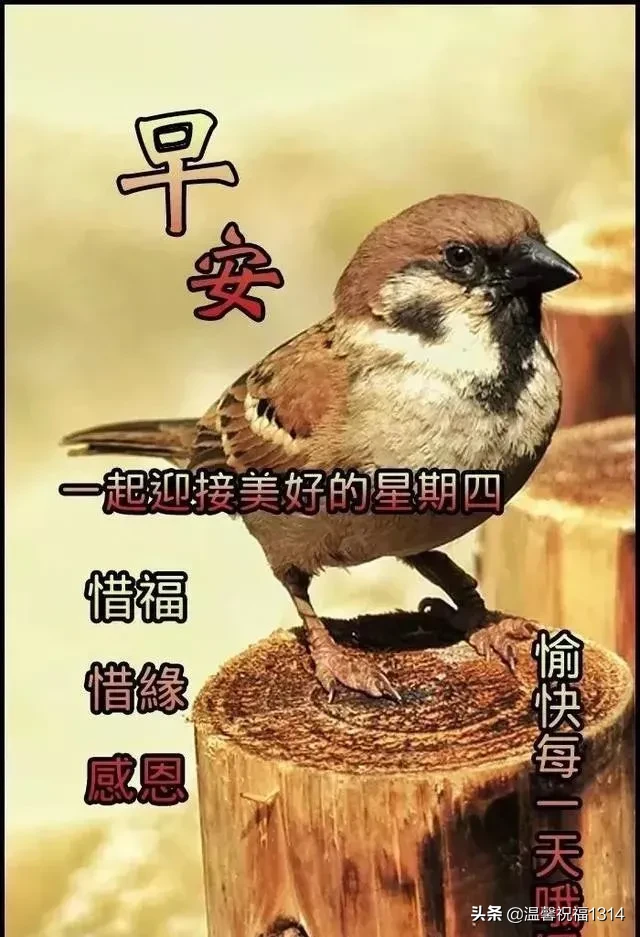 空气透着新鲜，阳光洒下温暖，愿你好心情陪伴，分分秒秒顺利平安