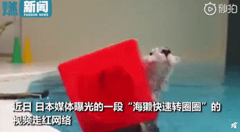 疫情未结束，另一场席卷70亿人的危机还在发生