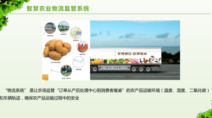 数字乡村治理体系信息化建设方案，附下载
