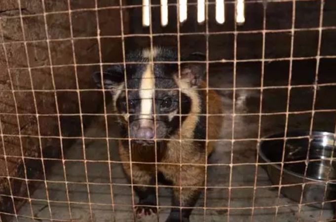 疫情未结束，另一场席卷70亿人的危机还在发生