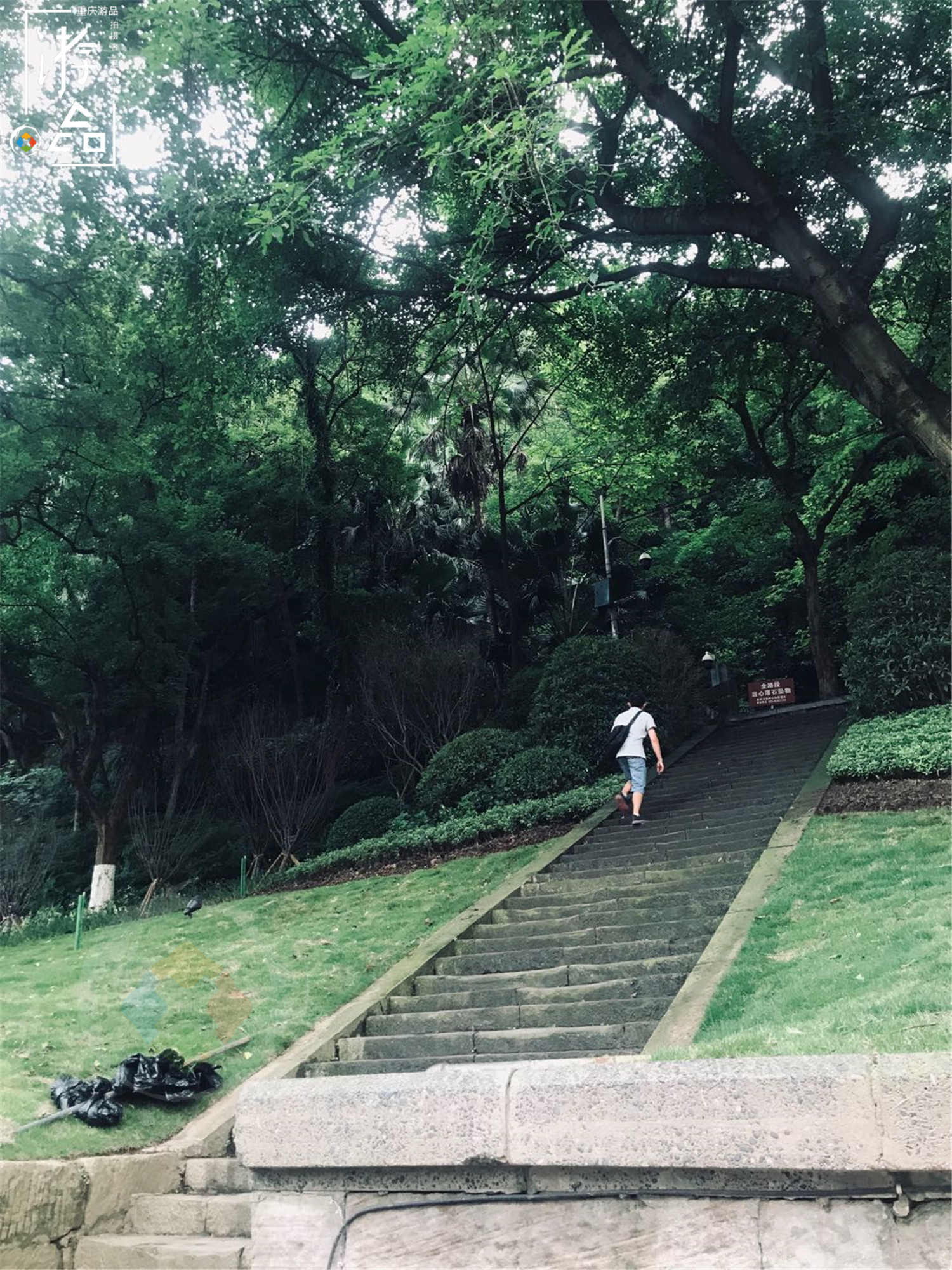 日本人评价重庆肖家湾，通往电视塔的坡道，被称神似宫崎骏的电影