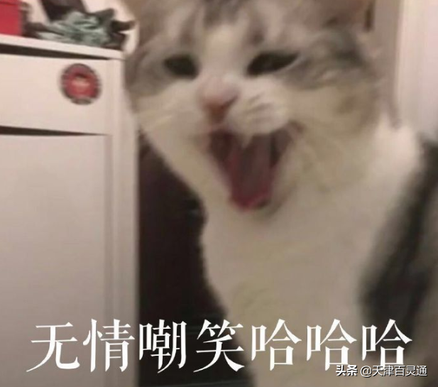 天津人都有这几种毛病！太好笑