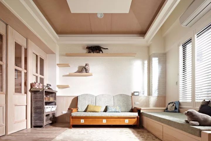 养宠家庭的“装修秘笈”┃ 东方一木科普