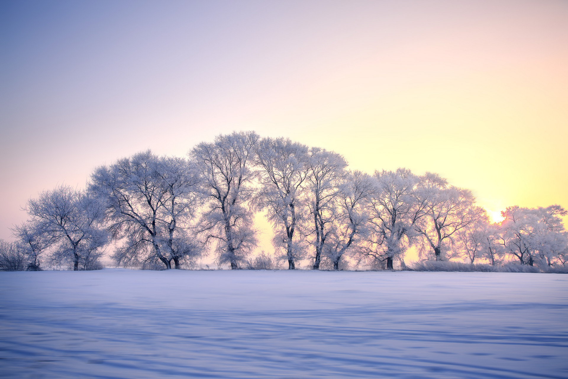 好诗如暖阳：十首诗词，温暖你的冬天-第4张图片-诗句网