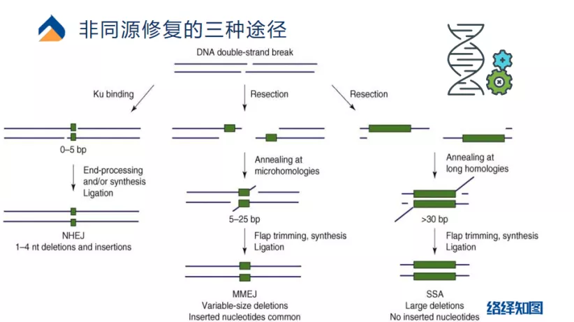 为什么需要研究基因编辑技术？