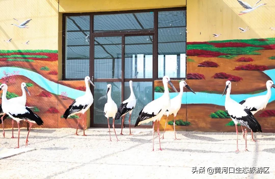 踏青正当时,莫负好春光
