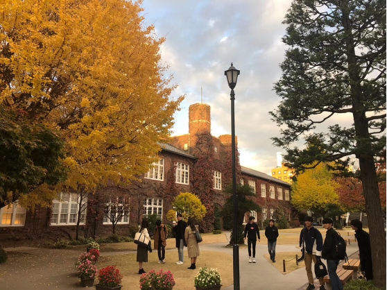 日本留学：有一种美，叫做立教大学