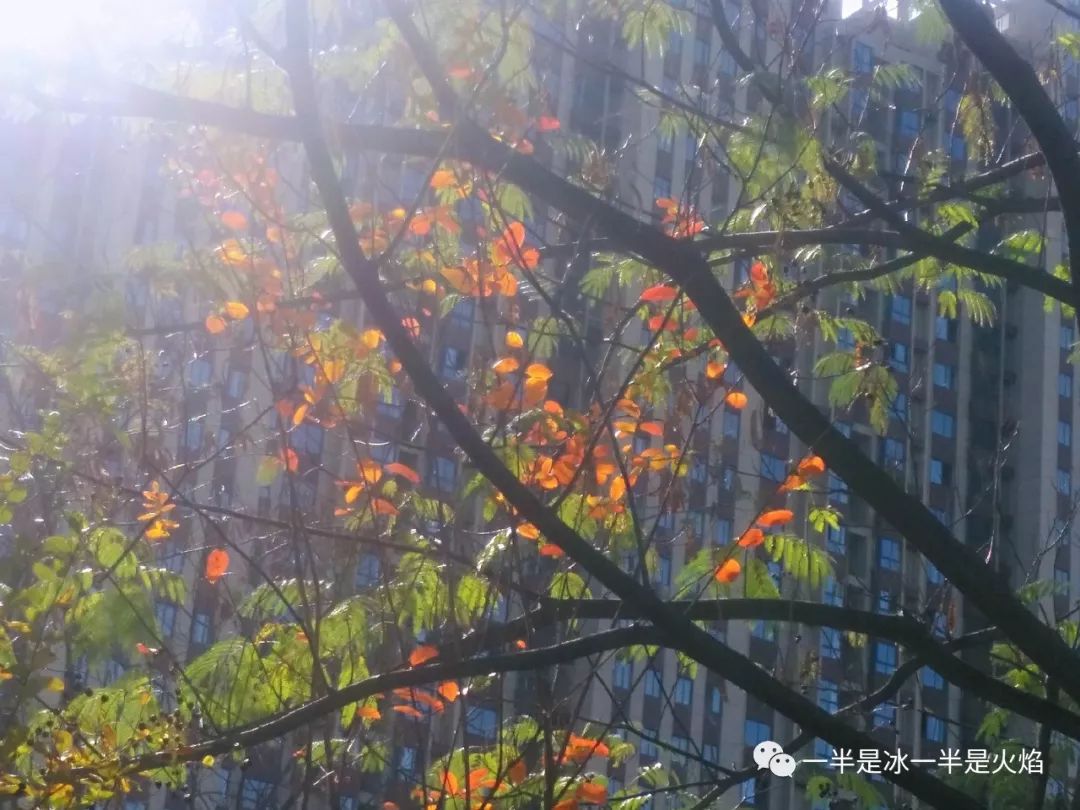 散文诗：这样的秋天，你来吗-第1张图片-非凡网