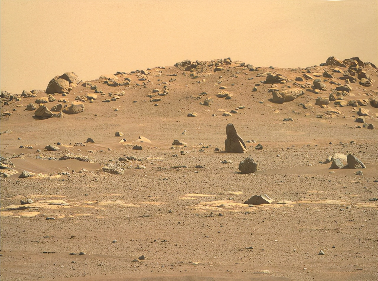 5500万公里外，毅力号传回真实照片，岩石清晰可见，火星一片荒凉