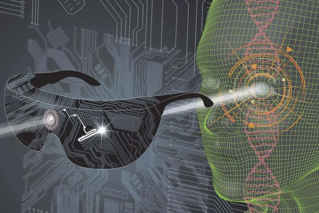 首次！綠藻的“眼睛”移植給人類，讓他40年後重見光明