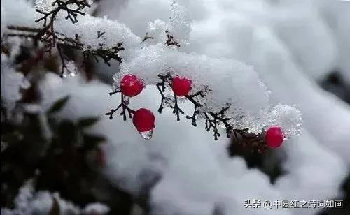 一念冬安、静待雪花飘