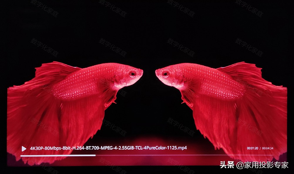 55英寸只要2299元 荣耀智慧屏X1系列值得购买吗？