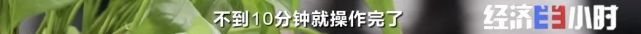 欠费12亿！突然宣布：全部停业