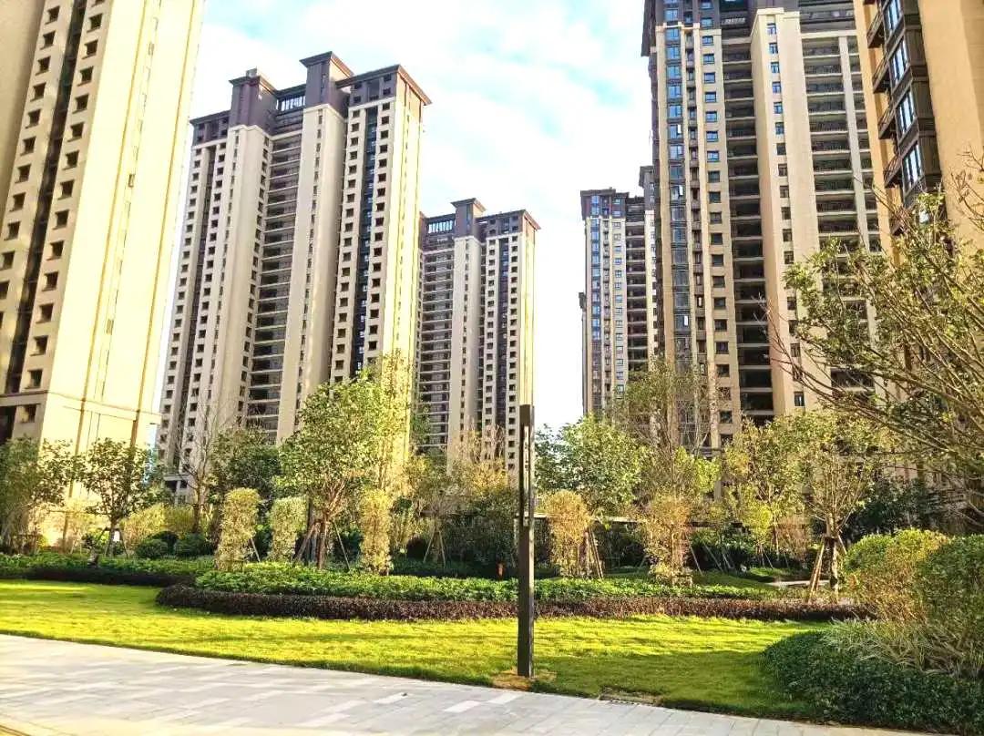 家期已至，静候君启