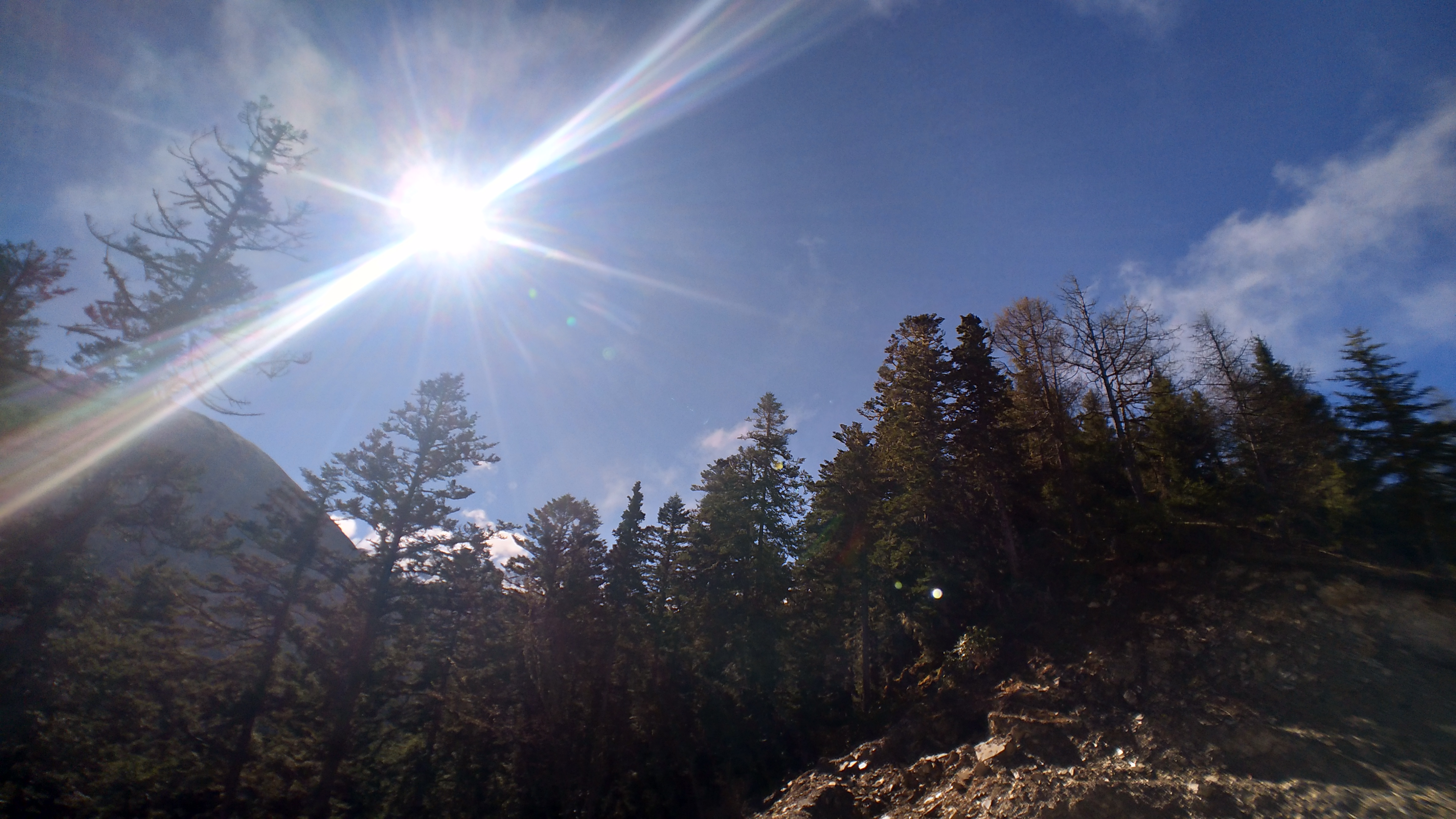 单人单车穿越雅安夹金山森林公园：体验一日四季轮回
