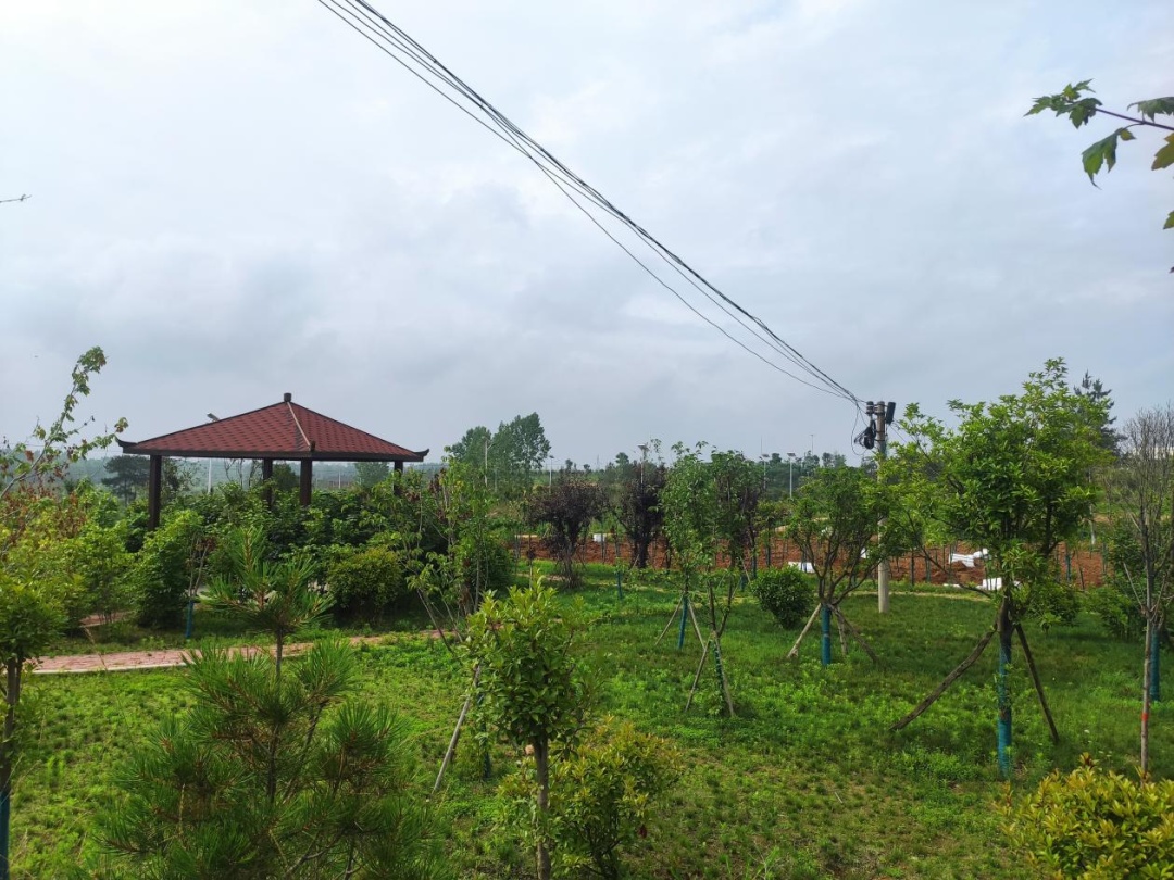 �׽����������Ļ����ν����湥�ԡ��ʺ�����