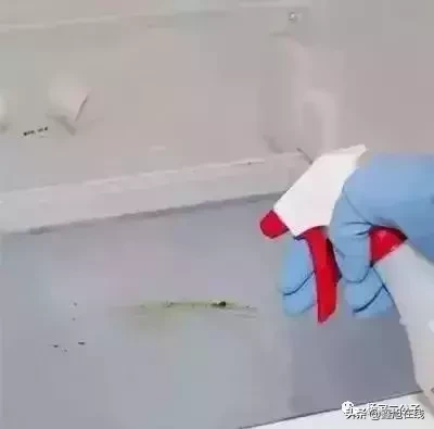 清洁生活小窍门100妙招-第4张图片-农百科 清洁生活小窍门100妙招-第4张图片-农百科