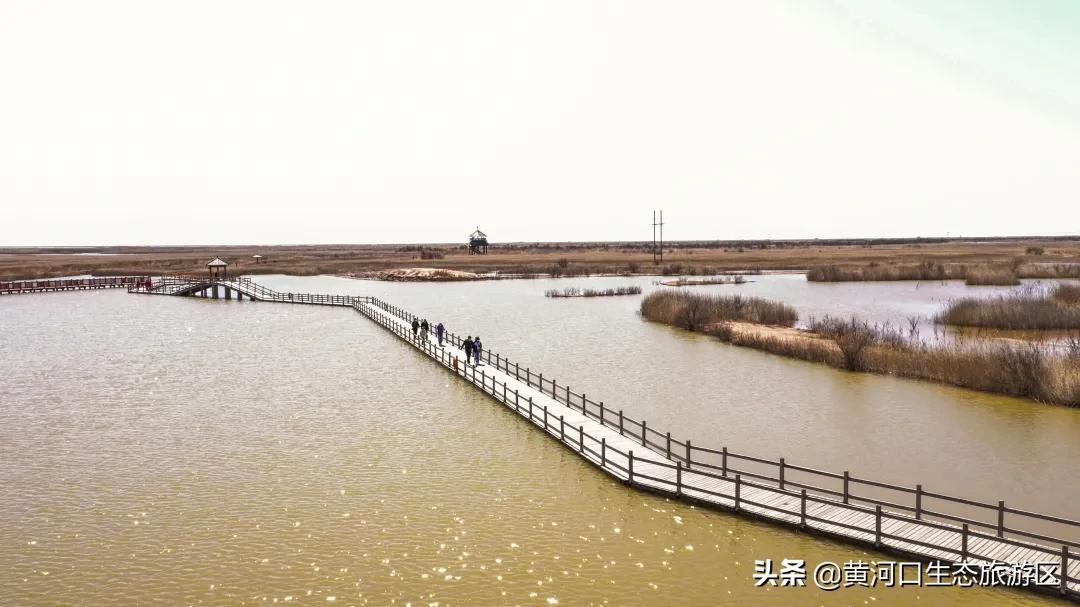 踏青正当时,莫负好春光