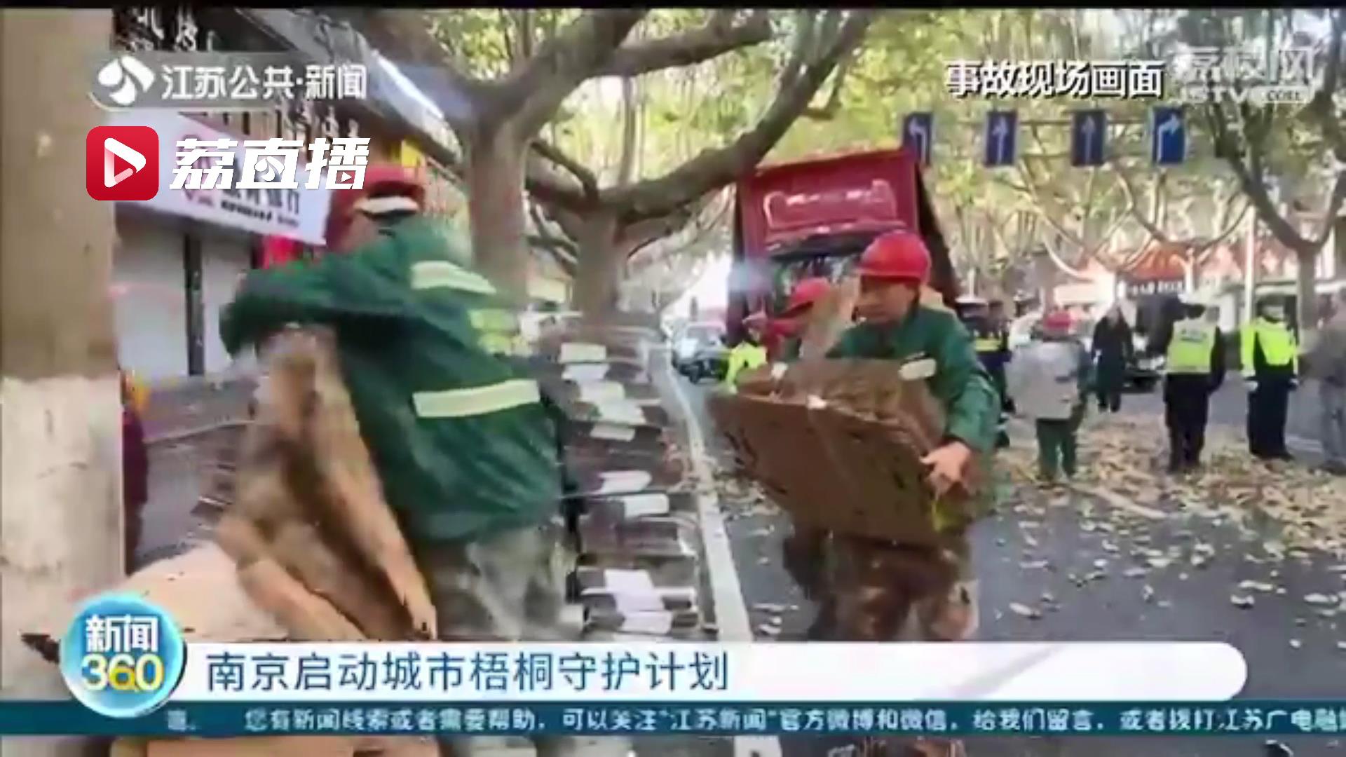 专门通道、反光彩绘、导航语音&hellip;城市梧桐守护计划保护南京的绿色风景线