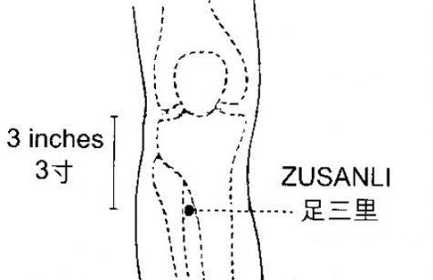 每日一穴：足三里穴