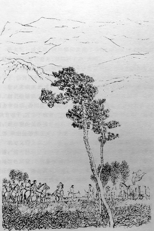 《飞狐外传》插图-zhuofu6058439