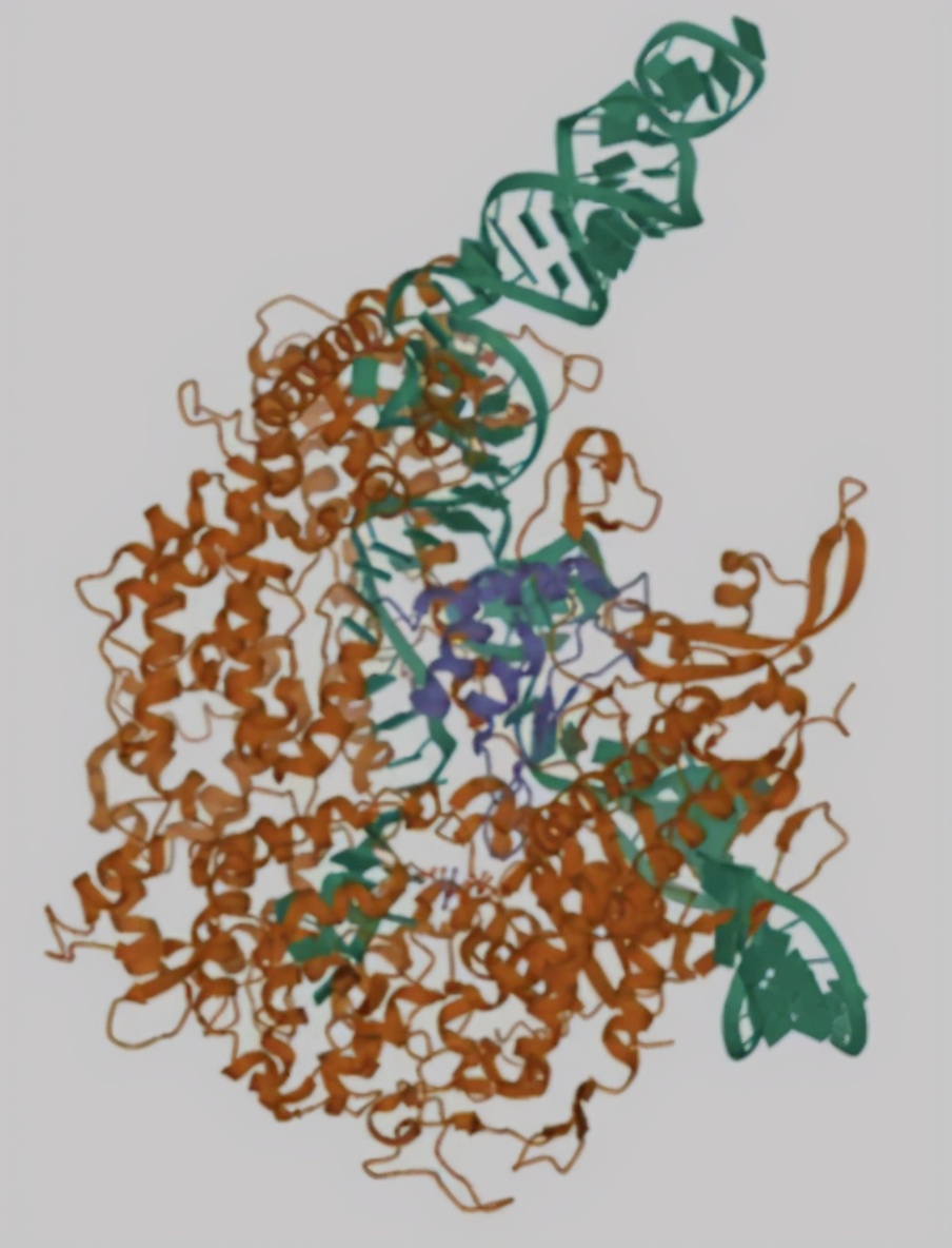 每解析一個蛋白質結構，就會有一種疾病“消失”？生物計算有多強