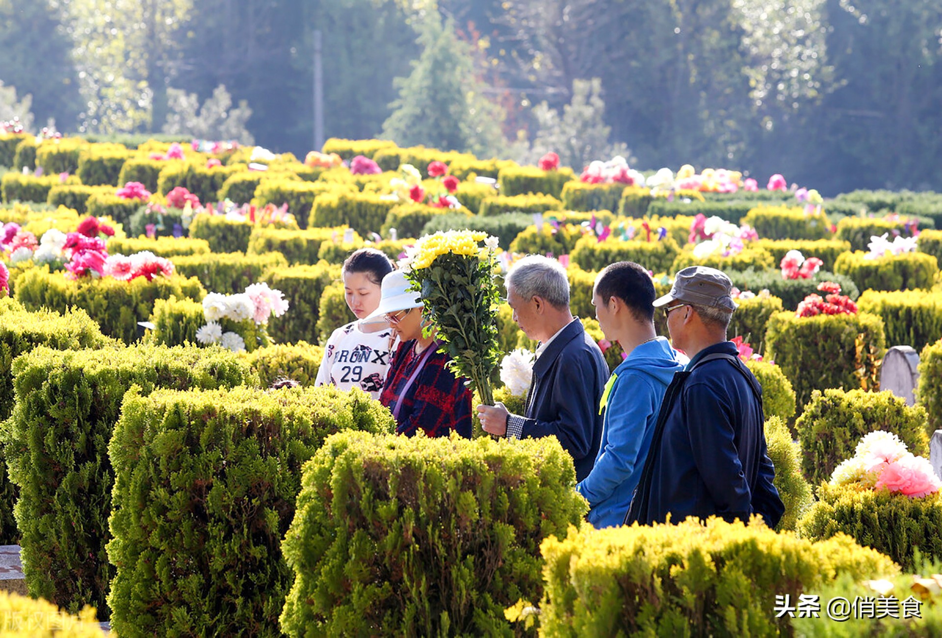 4月4日清明节 无论穷富 8种食物别忘了吃 老传统要保留 俏美食 Mdeditor