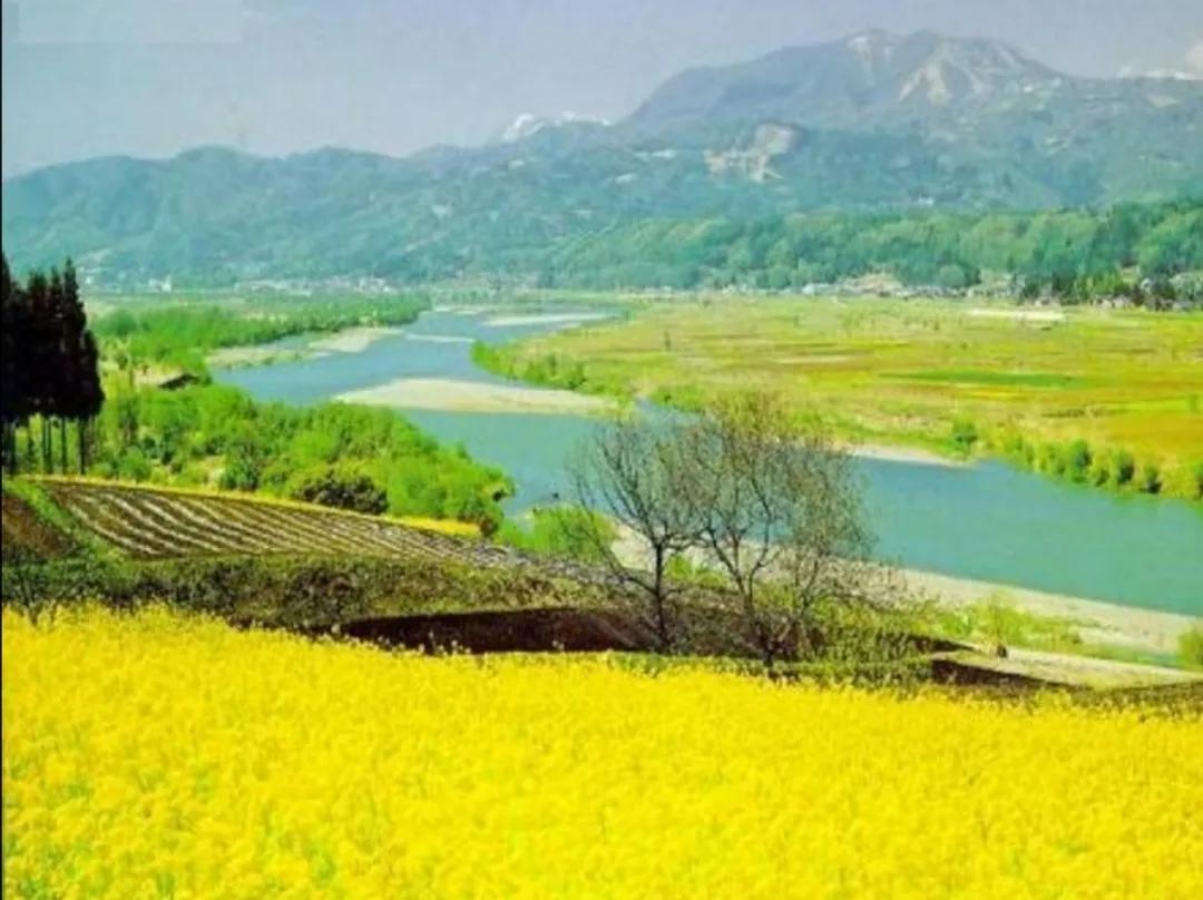 嘴口紅和油菜花景色搭配美翻了 網遊小魚兒 Mdeditor