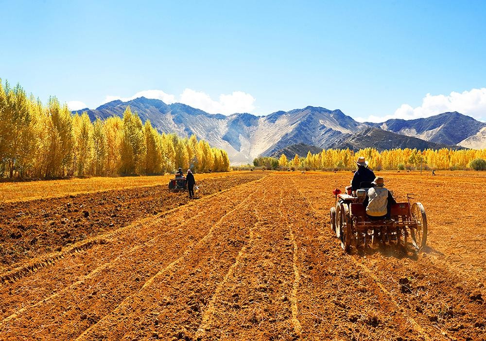 反華反到沒智商，澳大利亞媒體發出疑問：為何中國對澳投資大跌？