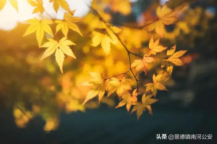 诗词|杜牧安慰朋友,写下一首豁达诗,苏轼朱熹也来“抄袭”,7字写尽人世悲凉