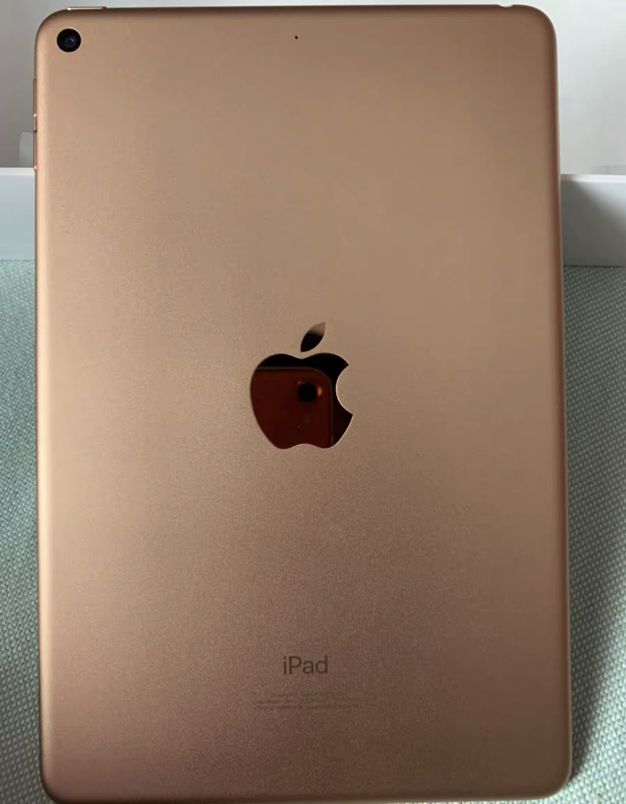 最新款iPad Mini 62020年发售，2019款Mini 5还值得购买吗