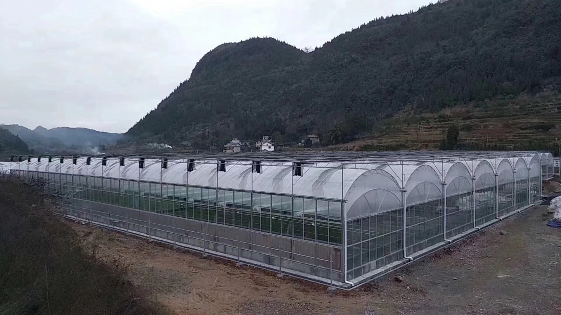 北方地区的薄膜连栋温室如何增强抗雪能力？初始设计很关键
