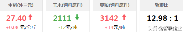 今日猪价！天价仔猪，高度警惕