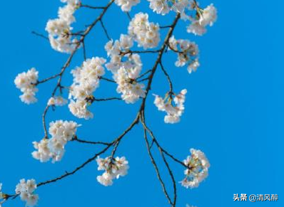 抖音吸引人点赞关注的句子 抖音最拽最火的文案图片