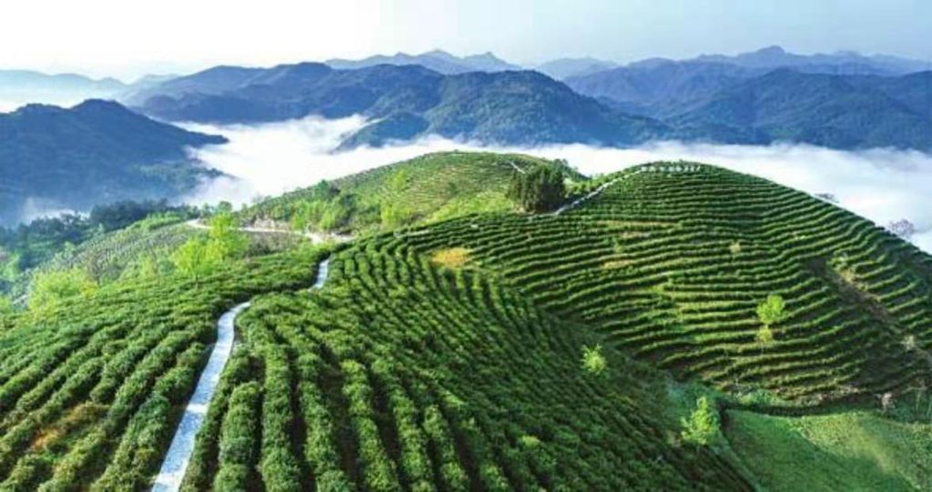 全国人大代表，安康市长赵俊民：高质量发展离不开高质量的营商环境