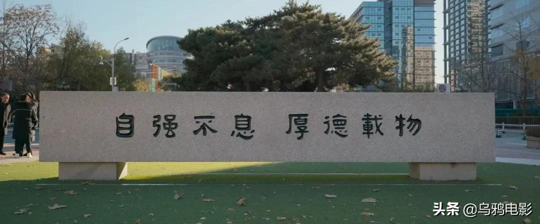 排片不足1%,刚不过圈钱烂片,这国产良心再不看就没了