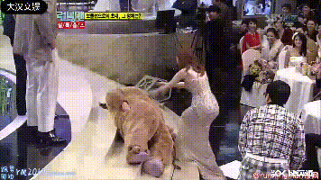 这个组合存在的意义是什么？感觉像是侮辱人的