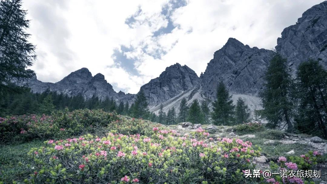 如何真正实现景区从“网红景区”到“口碑景区”的转变？