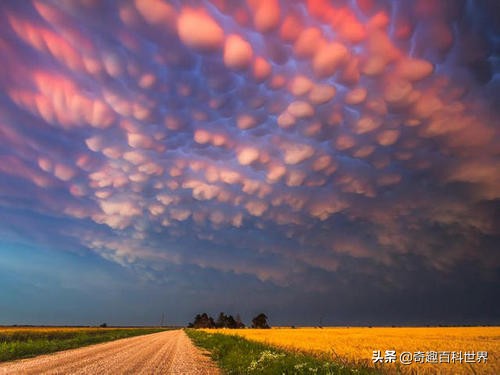 北京现乳状云，究竟什么是乳状云？